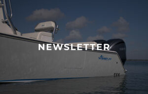 newsletter feature image